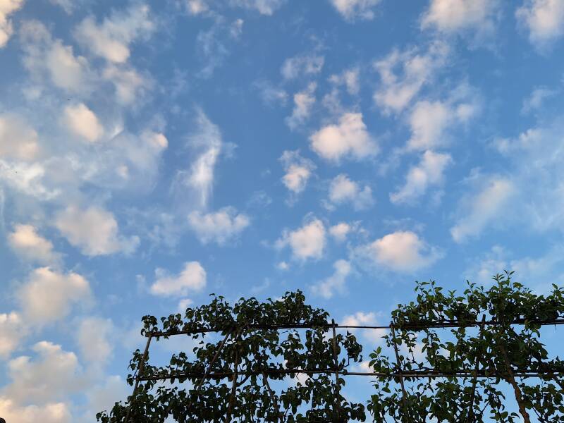 20260621_213137-standard.jpg