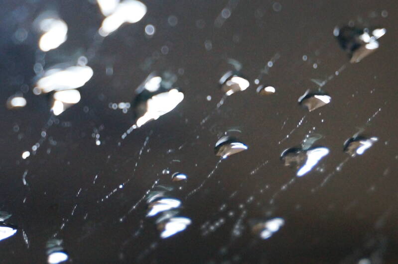 dsc00742-standard.jpg