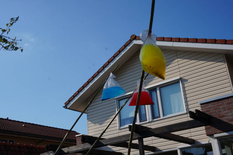 dsc03465-standard.jpg