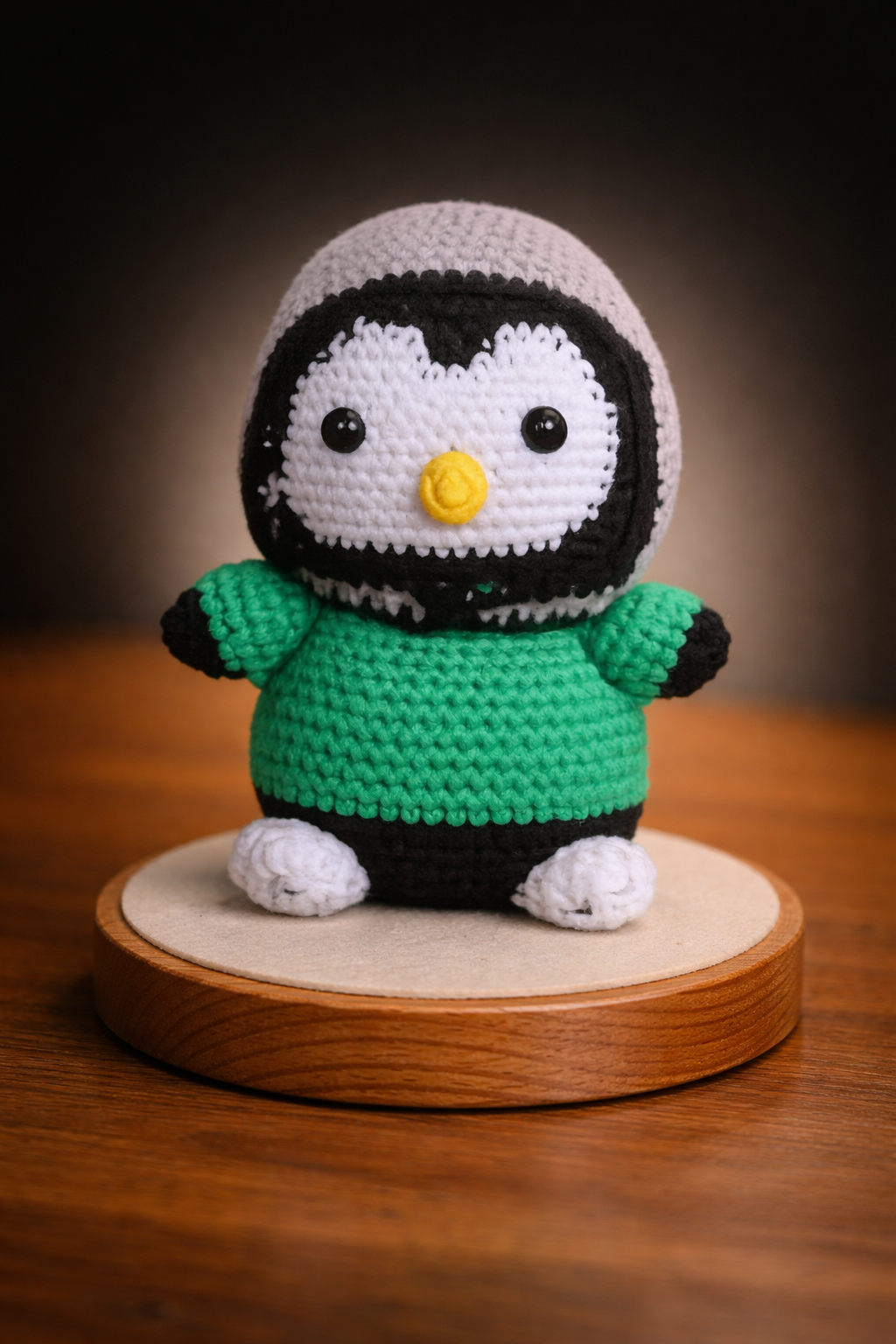 Pingouin Rugby – Numéro 9