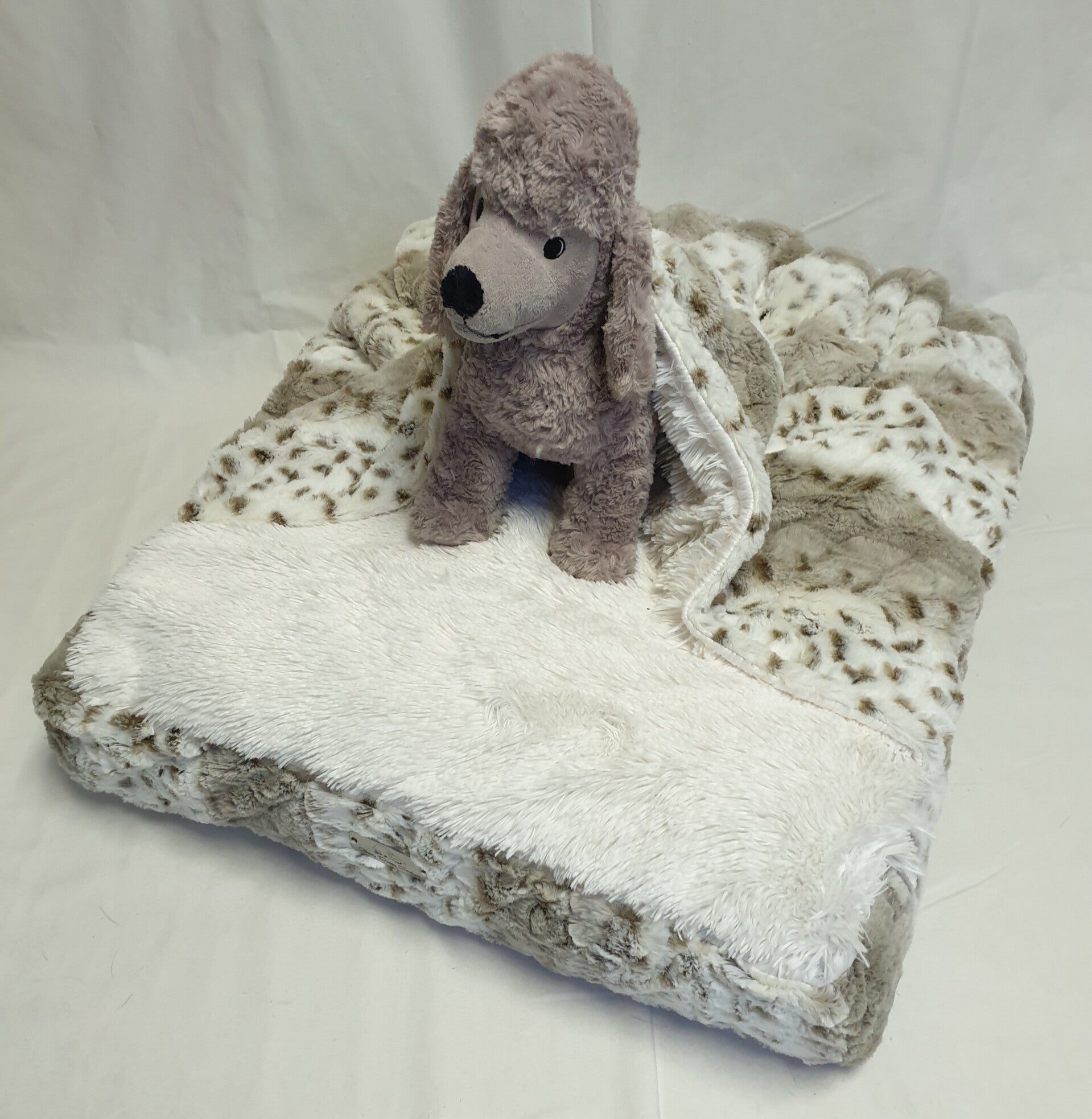 Arctic Lynx / Ivory Shaggy