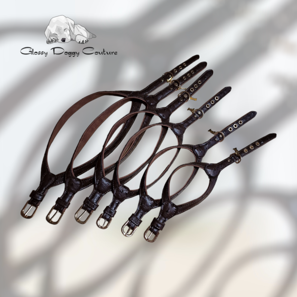 Choclat Bruin Struisvogel