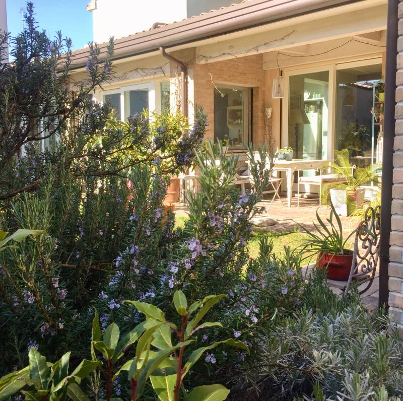 I sapori e i profumi del nostro giardino del Bed and Breakfast  Abitare al 42