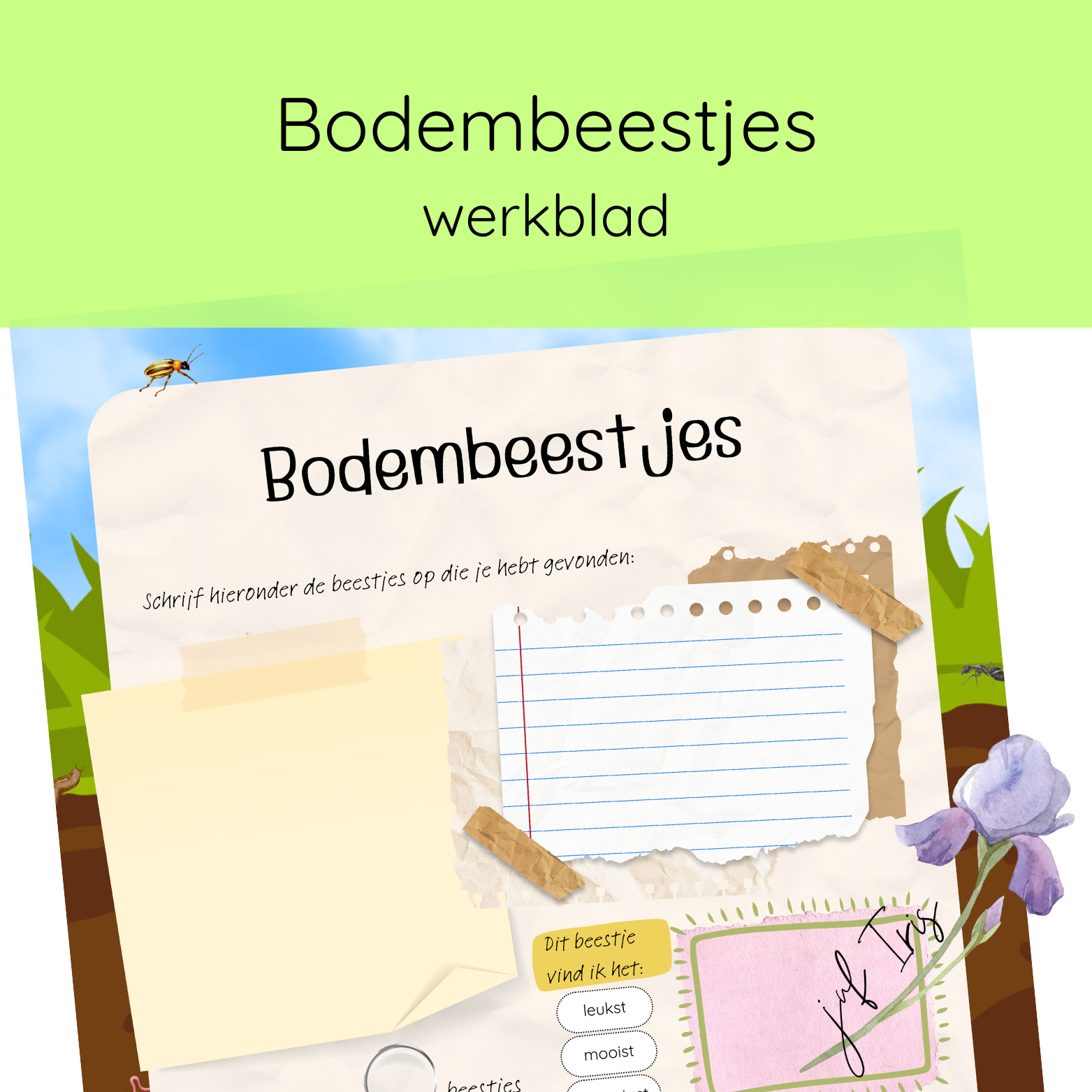 Bodembeestjes werkblad