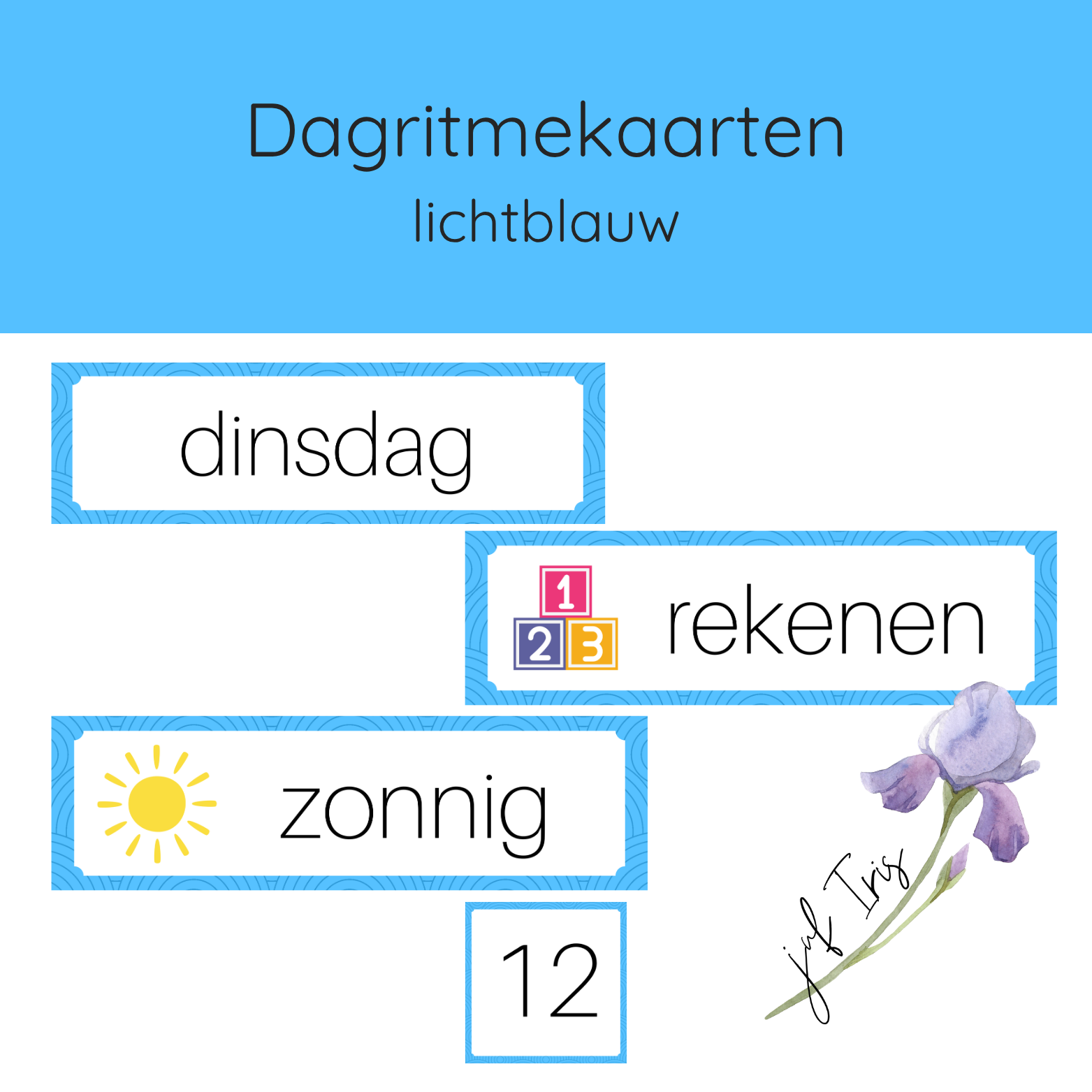 Dagritmekaarten lichtblauw