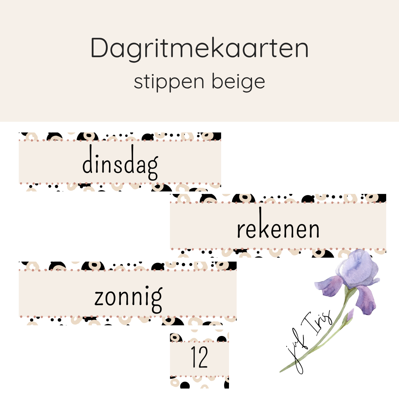 Dagritmekaarten stippen beige