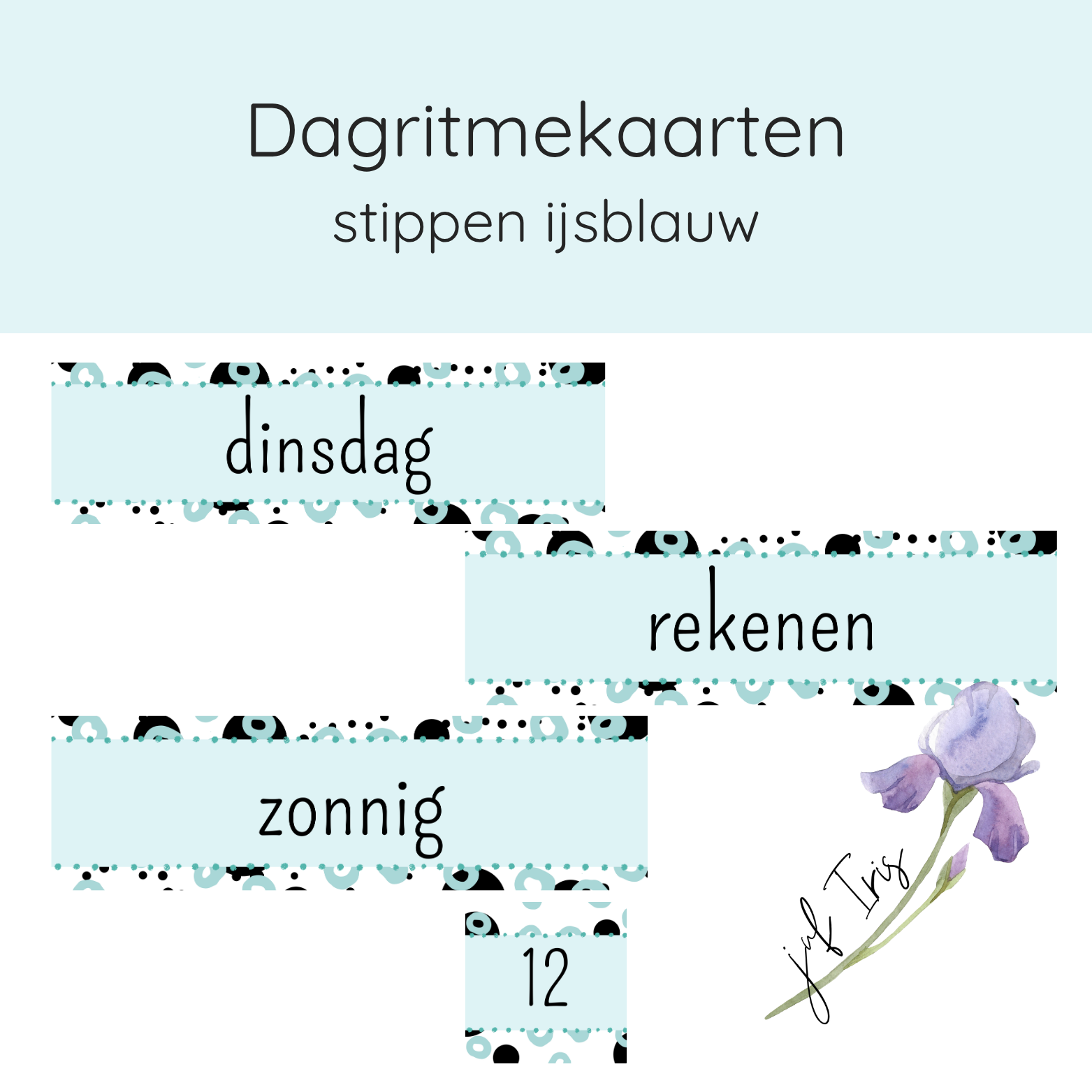 Dagritmekaarten stippen ijsblauw
