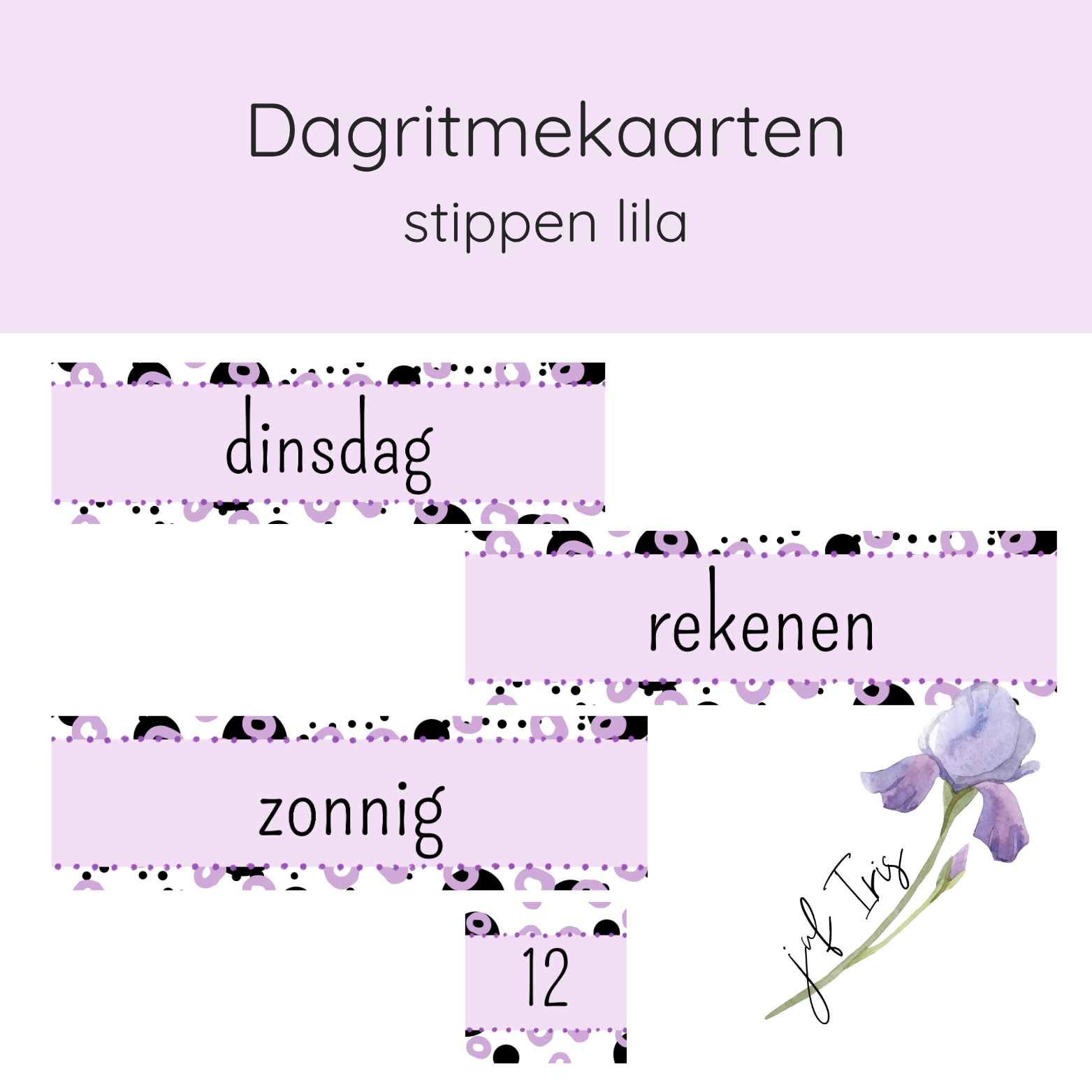 Dagritmekaarten stippen lila