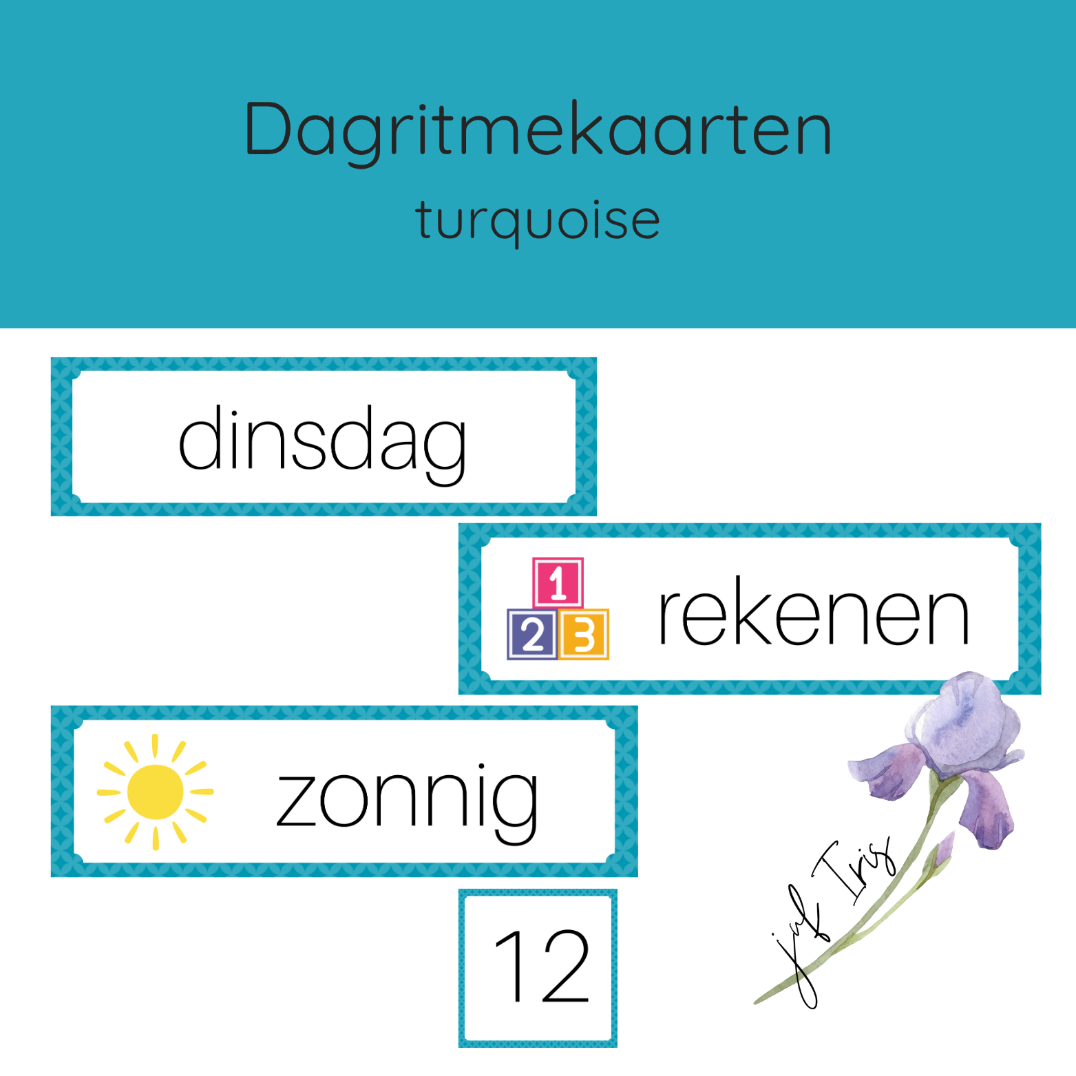 Dagritmekaarten turquoise