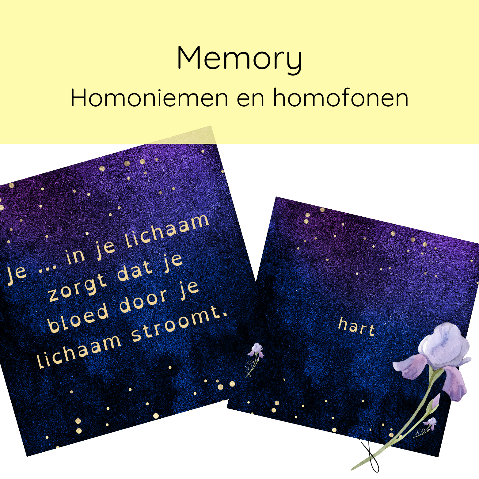 Memory - Homoniemen en homofonen
