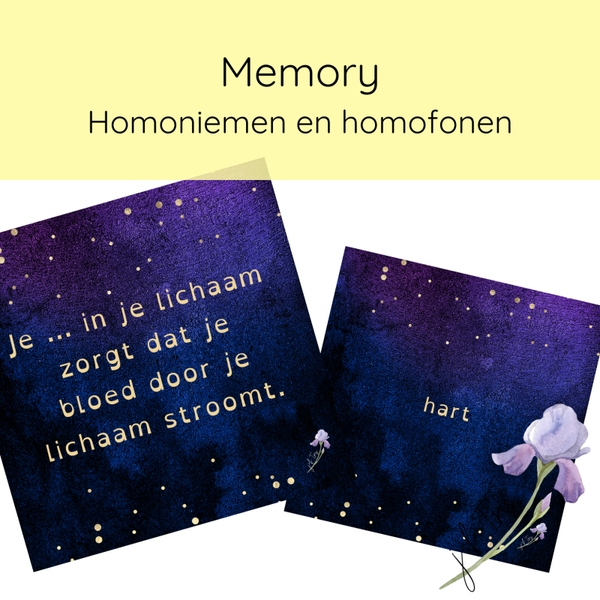 Memory - Homoniemen en homofonen