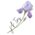 Bovenbouwjuf Iris
