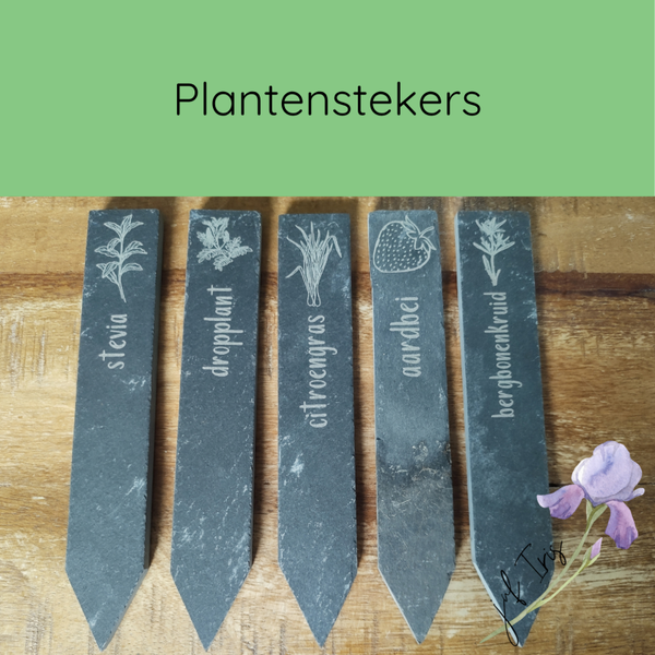 Plantenstekers