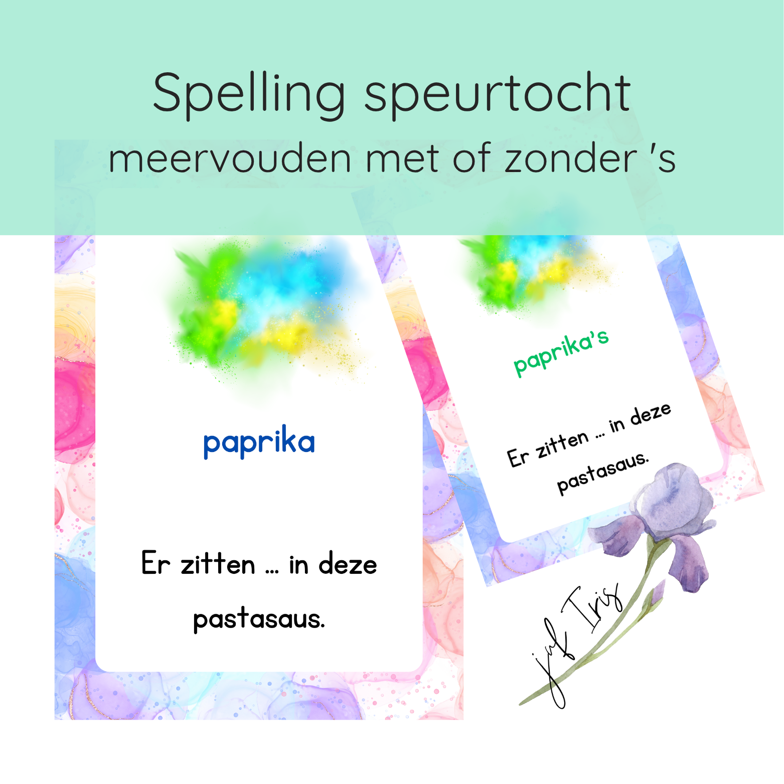 Speurtocht spelling - meervouden met of zonder 's
