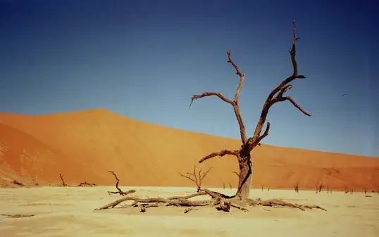 Azamara Cruises  | www.top65.de