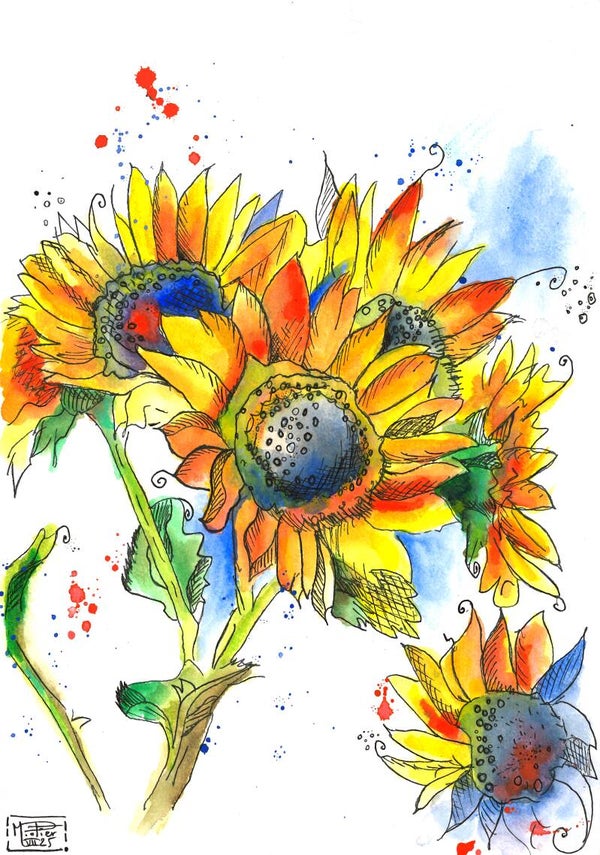 Les tournesols