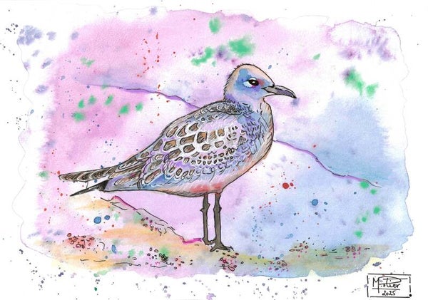 La mouette