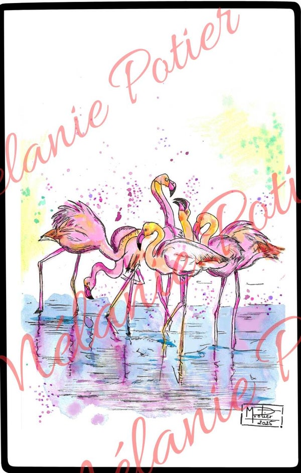 Les flamants roses
