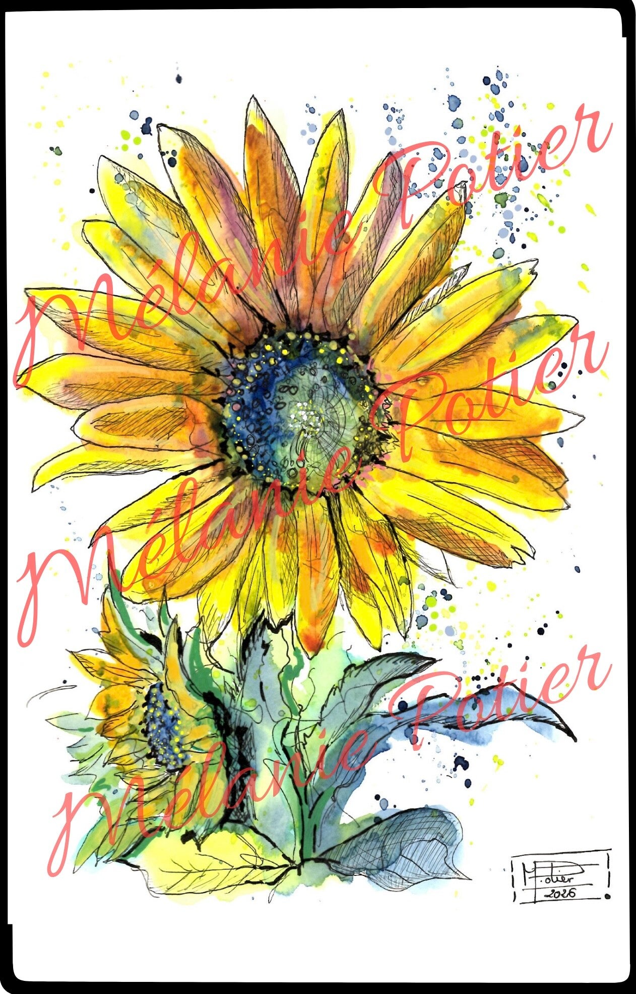 Tournesols 2