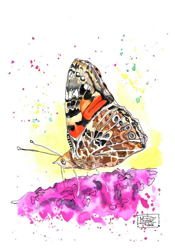 Papillon