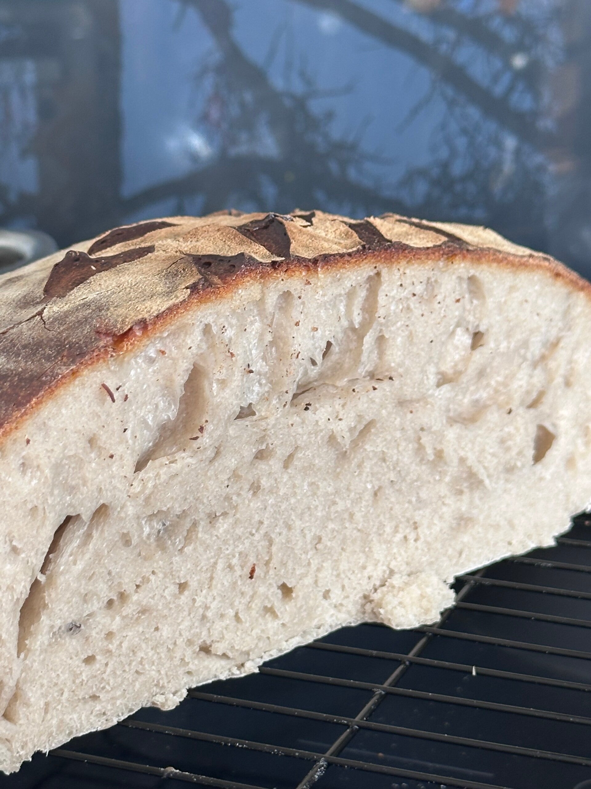 Hapanjuurileipä