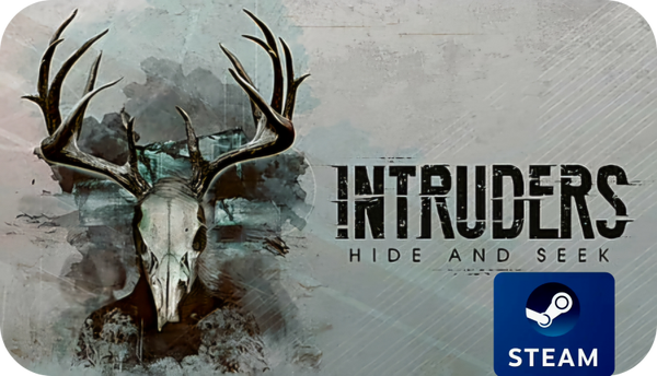 Intruders Hide and Seek