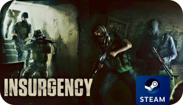 Insurgency