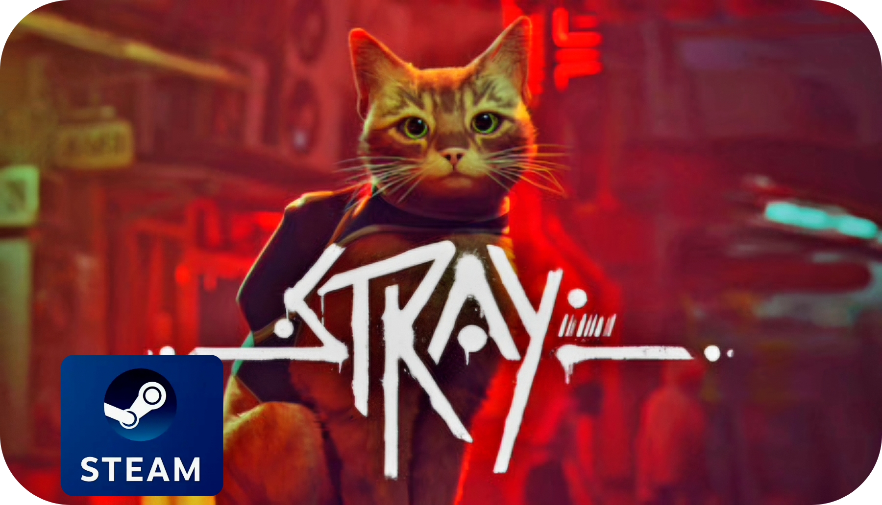 Stray