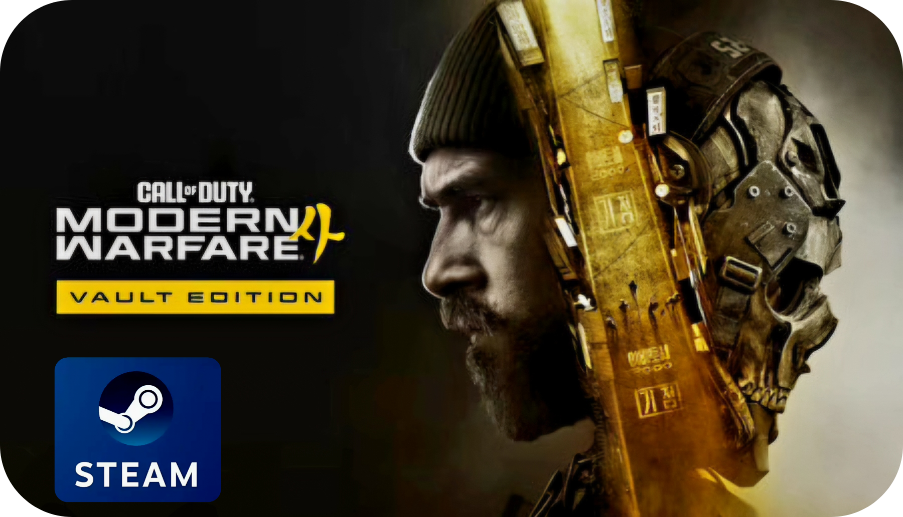 Call of Duty: Modern Warfare 4 - Vault-Edition