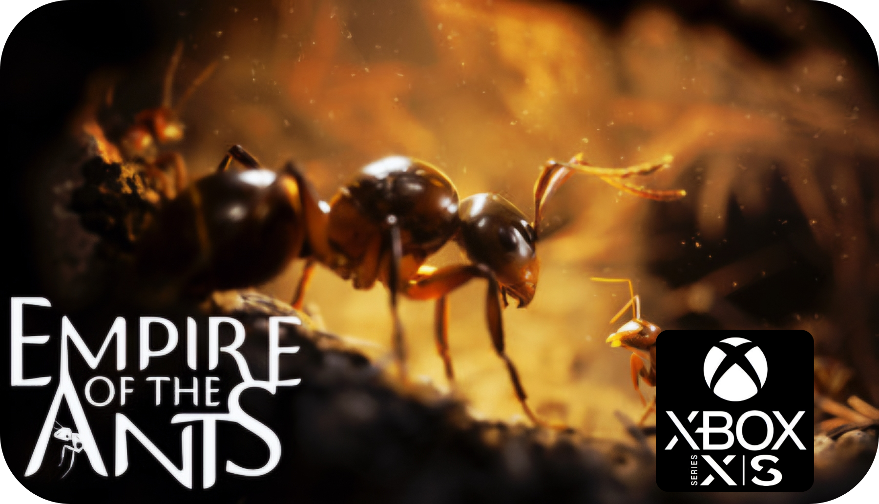 Empire of the Ants