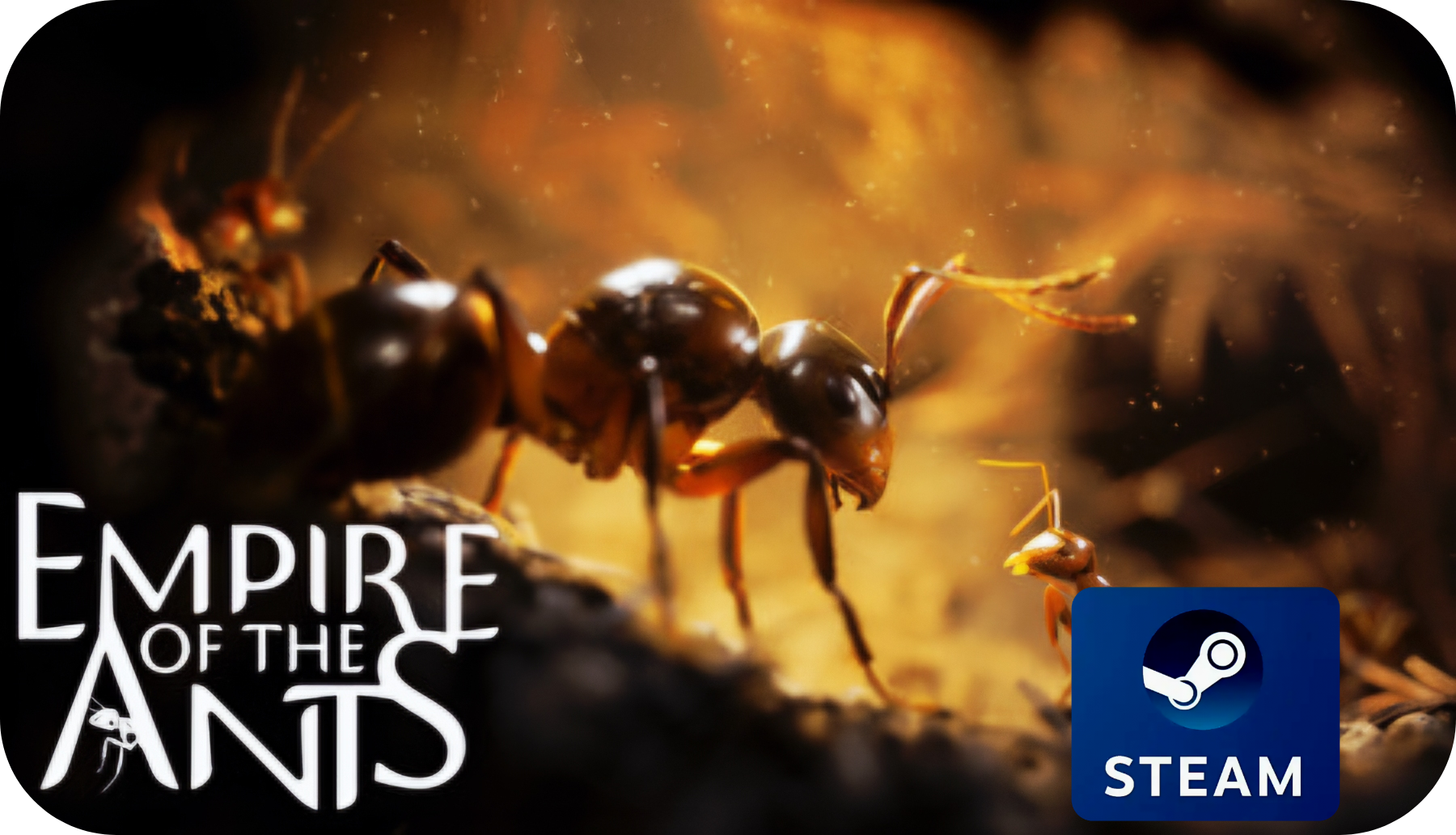 Empire of the Ants