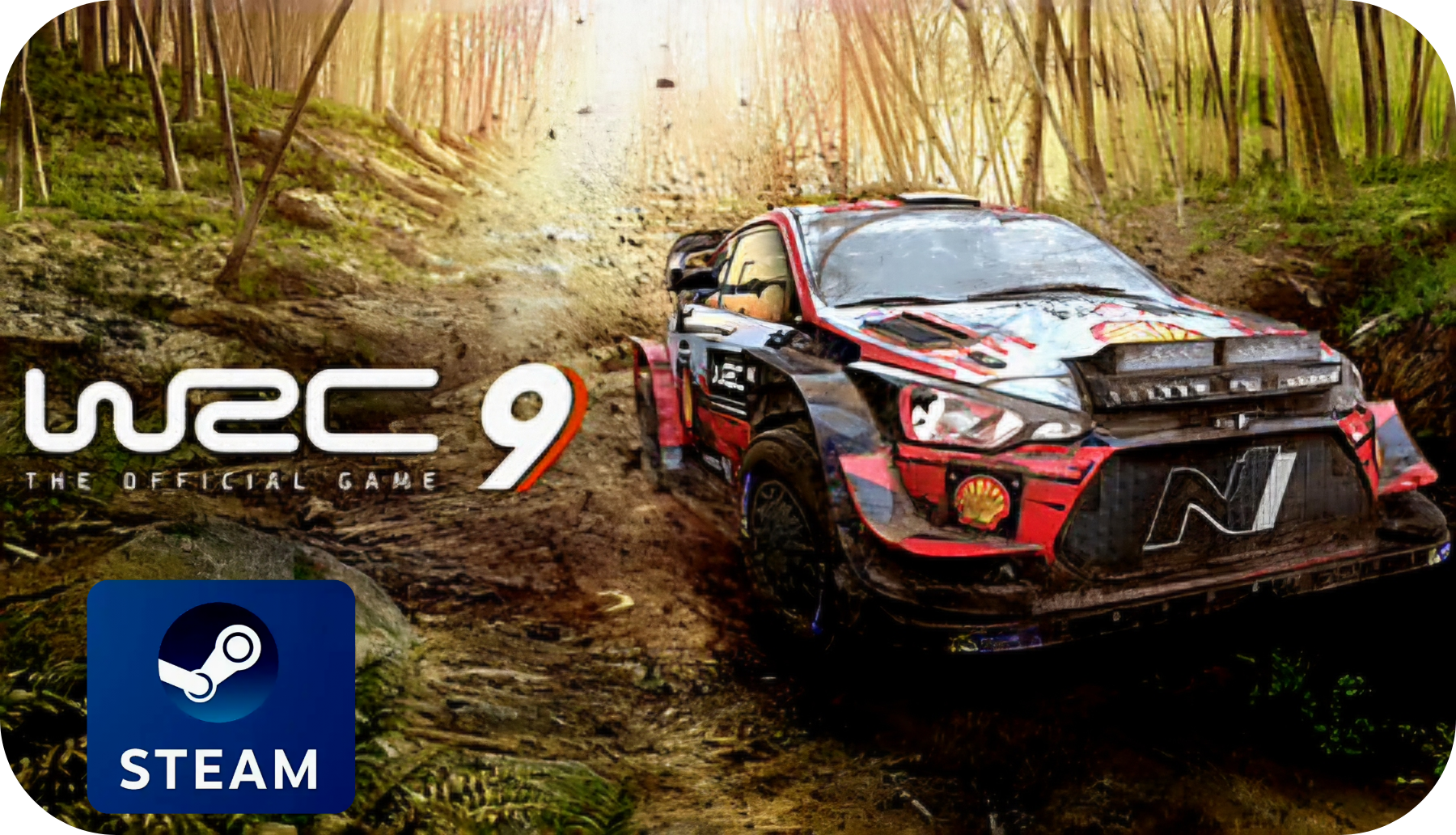 WRC 9 FIA World Rally Championship