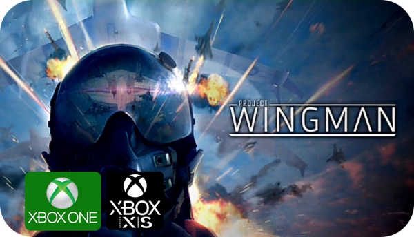 Project Wingman