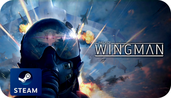Project Wingman