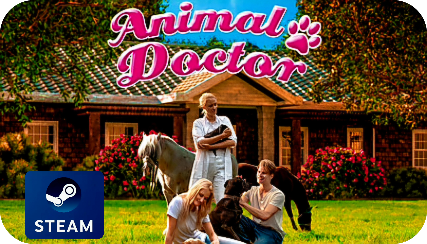 Animal Doctor
