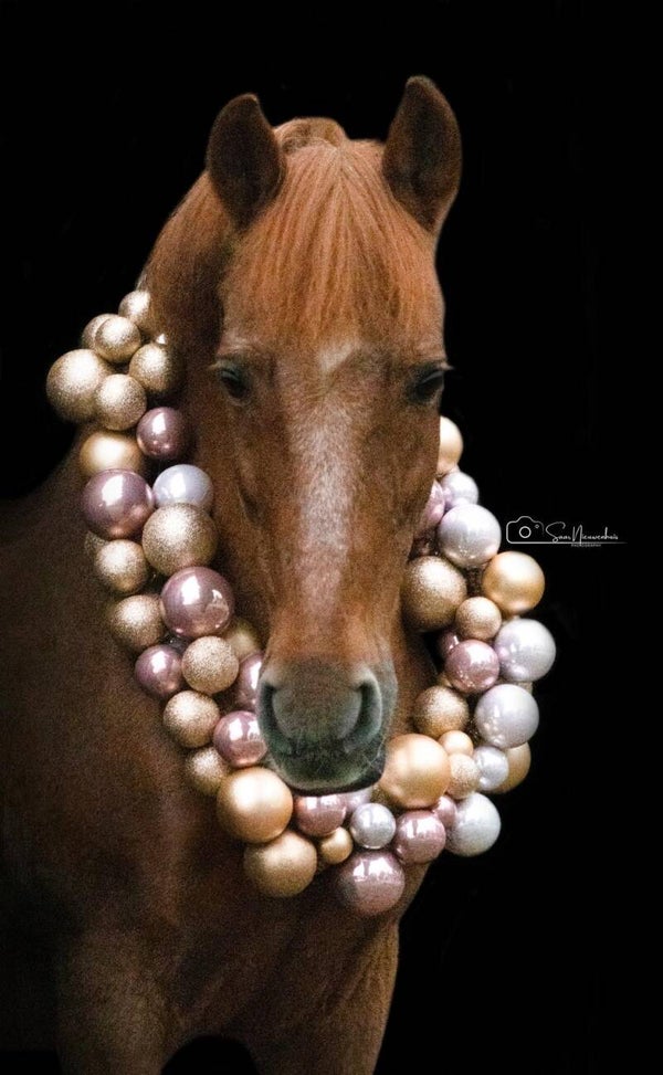 Kerstshoot Saar.n.photography zaterdag 13 en zondag 14 december 2025