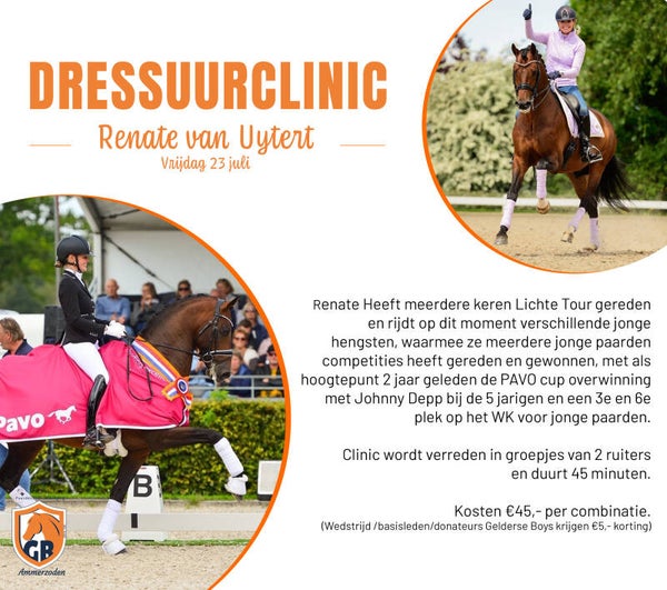 Dressuurclinic Renate van Uytert - vrijdag 23 juli
