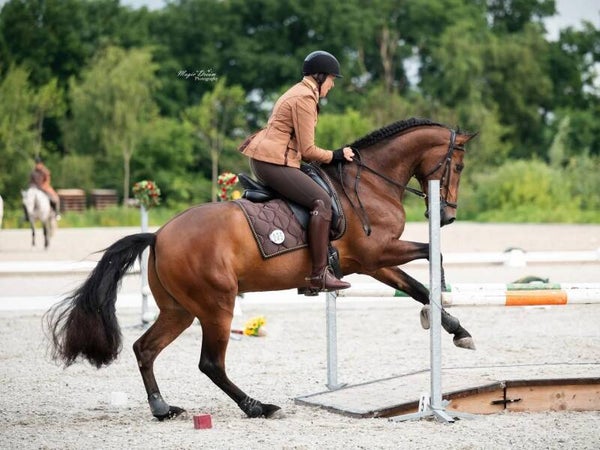 1 stuks WE les kwartaal 2-2026