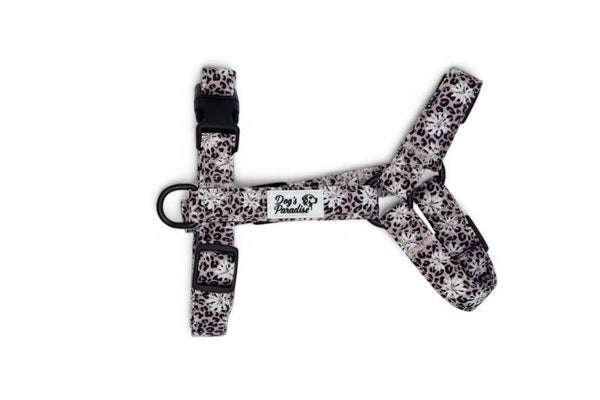 H-Brustgeschirr "Margerite-Leo"