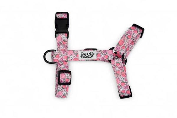 H-Brustgeschirr "Erdbeertraum"