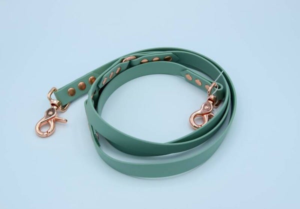 Leine aus Biothane "2m"