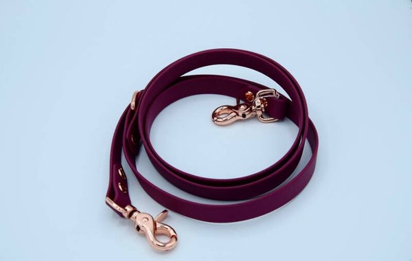 Leine aus Biothane "1,7m"