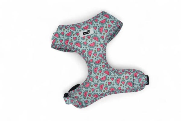 Brustgeschirr "Süsse Melonen"