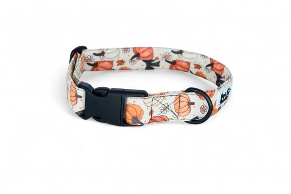 Halsband "Kürbisse" - in 3 verschiedenen Größen