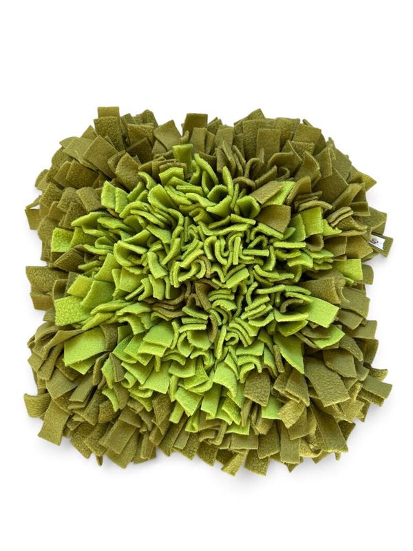 Schnüffelteppich "Kiwi"