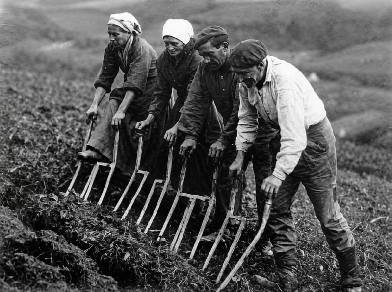La laya, l'outil de labour traditionnel du Pays basque