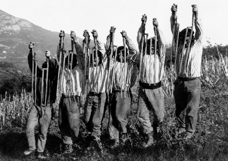 La laya, l'outil de labour traditionnel du Pays basque