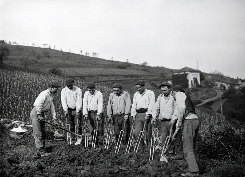 La laya, l'outil de labour traditionnel du Pays basque