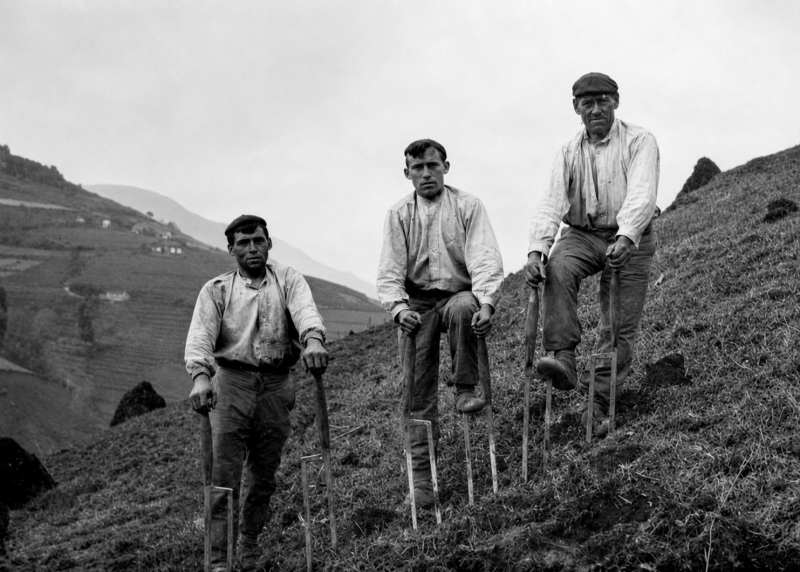 La laya, l'outil de labour traditionnel du Pays basque