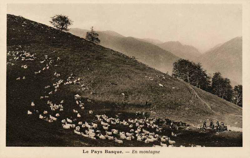 La transhumance au Pays Basque